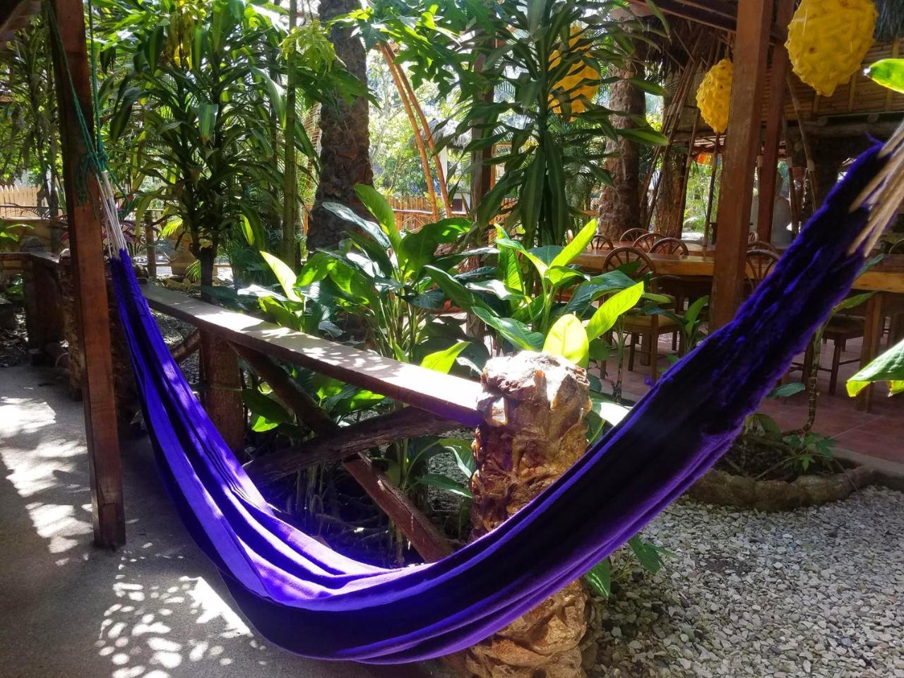 Casa Del Sol Hostel มอนตาญิตาร์ ภายนอก รูปภาพ